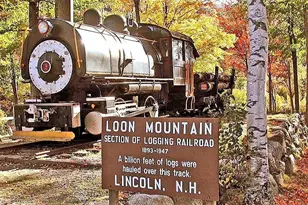 90 Loon Mountain Rd, Lincoln, NH 03251 - Photo 40