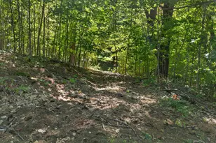 371 Hoyt Rd, Gilford, NH 03249 - Photo 20