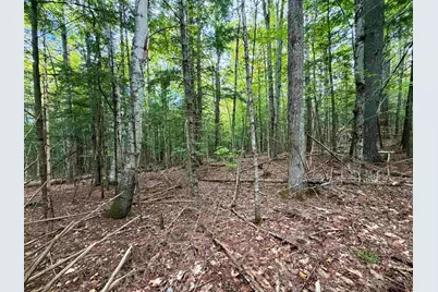 Windmill Road #Lot 3, Campton, NH 03223 - Photo 2