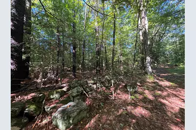 0 Cutoff Road, Sanbornton, NH 03269 - Photo 10