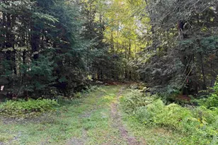 0 Old Bow Ext, Weathersfield, VT 05156 - Photo 32
