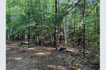 0 Old Bow Extension, Weathersfield, VT 05156 - Photo 12