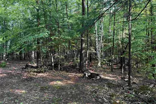 0 Old Bow Ext, Weathersfield, VT 05156 - Photo 12
