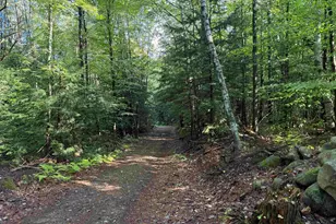 0 Old Bow Ext, Weathersfield, VT 05156 - Photo 26