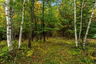 40 James Ln, Haverhill, NH 03780 - Photo 42