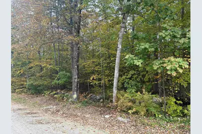 Lot 5A Phineas Graves Road, Tuftonboro, NH 03816 - Photo 8