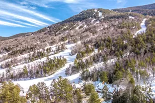 13 Mountainside at Attitash Rd, Bartlett, NH 03812 - Photo 1