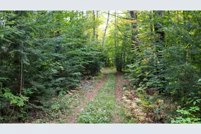 43 Melvin Mills Road, Bradford, NH 03221 - Photo 6