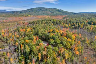 258 Pine River Rd, Effingham, NH 03882 - Photo 18