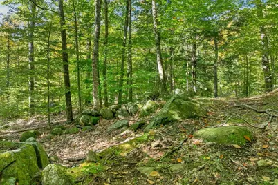 Lot 22 Mt Israel Road #22, Sandwich, NH 03227 - Photo 6