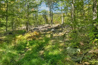 Lot 22 Mt Israel Road #22, Sandwich, NH 03227 - Photo 8
