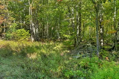 Lot 22 Mt Israel Road #22, Sandwich, NH 03227 - Photo 12
