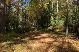 117 Weona Dr, Freedom, NH 03836 - Photo 6