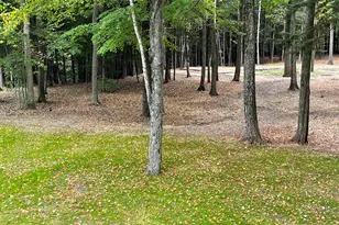 66 Saltmarsh Pond Rd, Gilford, NH 03249 - Photo 4