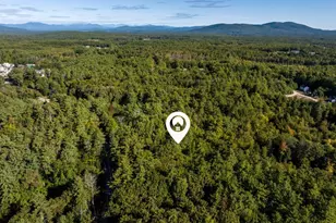50 Browns Ridge Rd, Ossipee, NH 03864 - Photo 1