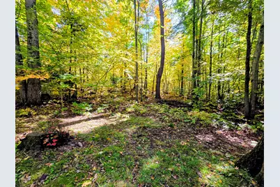 312 Haverhill Lane, Haverhill, NH 03785 - Photo 36