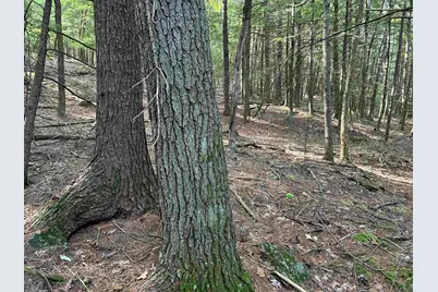 0 New Hampshire Drive, Webster, NH 03303 - Photo 12