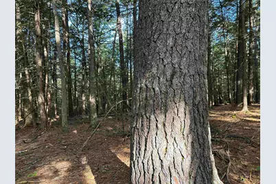 0 New Hampshire Drive, Webster, NH 03303 - Photo 10