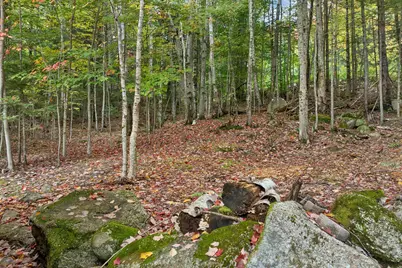 16 Greeley Hill Road, Waterville Valley, NH 03215 - Photo 16