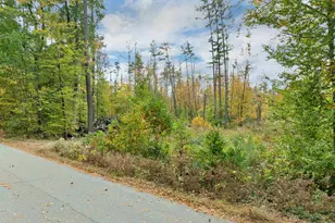 133 Hooksett Turnpike, Bow, NH 03304 - Photo 42
