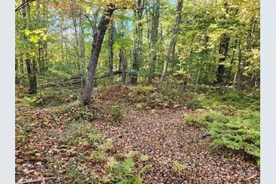 Tbd Tall Pine Road, Farmington, NH 03835 - Photo 6
