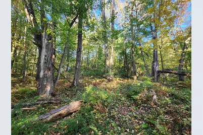 Tbd Tall Pine Road, Farmington, NH 03835 - Photo 4