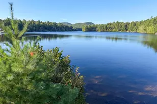 84 E Danforth Rd, Freedom, NH 03836 - Photo 38