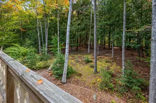 10 Wilhelm Pl, Bartlett, NH 03838 - Photo 38