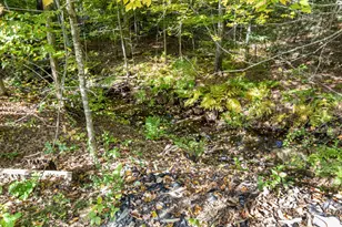 22 Dick Dame Ln, Farmington, NH 03835 - Photo 50