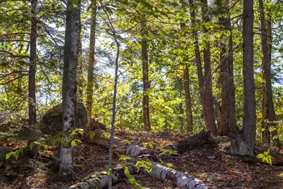 0000 Page Hill Road, Tamworth, NH 03817 - Photo 26