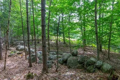 00 Alden Washburn Drive, Tamworth, NH 03817 - Photo 22