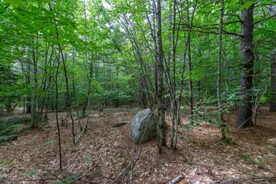 00 Alden Washburn Drive, Tamworth, NH 03817 - Photo 20