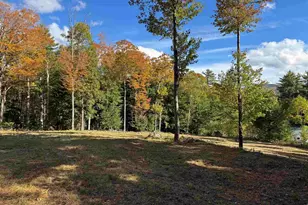 0 Tamarack Rd, Thornton, NH 03285 - Photo 1