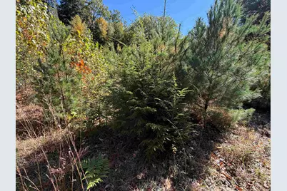 0Off Langley Road #Lot 10, Keene, NH 03431 - Photo 14