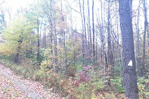 307 Corbin Rd, Alstead, NH 03602 - Photo 10