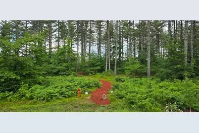 16 Ghia Lane, Fryeburg, ME 04037 - Photo 60