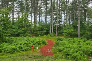 16 Ghia Ln, Fryeburg, ME 04037 - Photo 60
