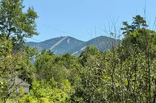 43 Sawmill Ln, Franconia, NH 03580 - Photo 1