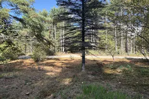 3 Leisure Dr, Ossipee, NH 03864 - Photo 10