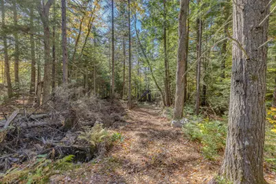 Mill Brook Road, Thornton, NH 03223 - Photo 8
