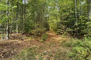 107 Merriam Rd, Walpole, NH 03608 - Photo 52