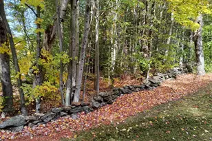 107 Merriam Rd, Walpole, NH 03608 - Photo 54