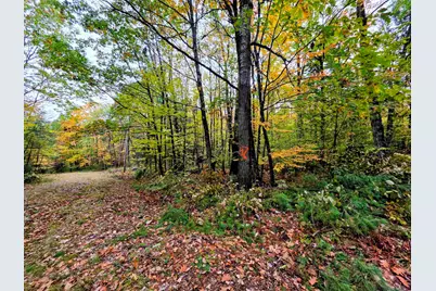 Blue Trail, Bath, NH 03740 - Photo 4