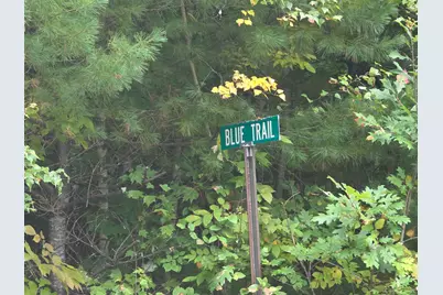 Blue Trail, Bath, NH 03740 - Photo 8