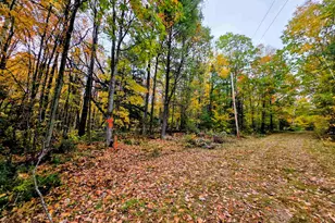 Blue Trail, Bath, NH 03740 - Photo 1
