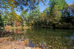 1183 Faxon Hill Rd, Washington, NH 03280 - Photo 48