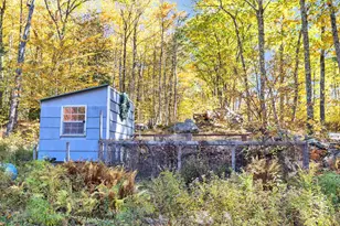 196 Rhododendron Rd, Fitzwilliam, NH 03447 - Photo 44