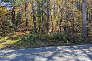 Manning Hill Rd, Winchester, NH 03470 - Photo 1