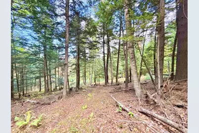 0 Grimes Hill Road, Orford, NH 03777 - Photo 12