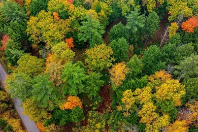 0 Grimes Hill Road, Orford, NH 03777 - Photo 8